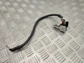 Negative earth cable (battery)