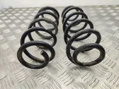 Rear coil spring