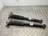 Rear shock absorber/damper