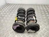 Rear coil spring