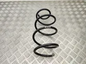 Front coil spring