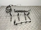 Fuel injection system set