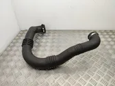 Manguera/tubo del intercooler