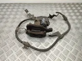 Caliper del freno trasero