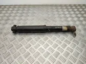 Rear shock absorber/damper