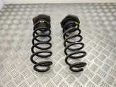 Rear coil spring