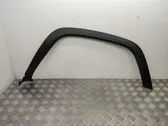 Fender trim (molding)
