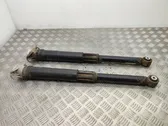 Rear shock absorber/damper