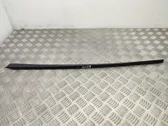 Windshield trim