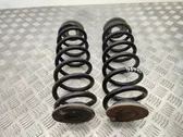 Rear coil spring