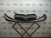 Front bumper upper radiator grill