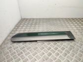 Rear door trim (molding)