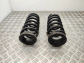Rear coil spring