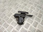 Sliding door lower roller guide/hinge