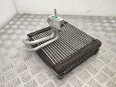 Air conditioning (A/C) radiator (interior)