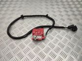 Positive wiring loom