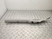(A) pillar trim