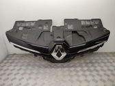 Front bumper upper radiator grill