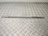 Rear door trim (molding)