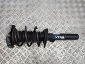 Front shock absorber/damper