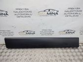 Sliding door trim (molding)