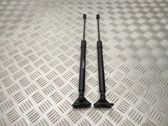 Tailgate/trunk strut/damper