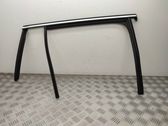 Rear door glass trim molding