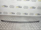 Rear bumper trim bar molding