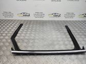 Rear door glass trim molding