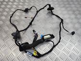Front door wiring loom