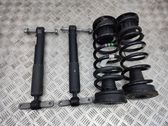 Rear shock absorber with coil spring