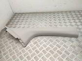 (A) pillar trim