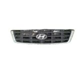 Front grill