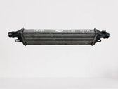 Intercooler radiator