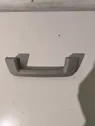 Front interior roof grab handle