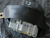 Cinturón trasero