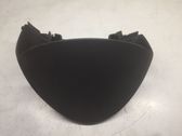 Dashboard trim