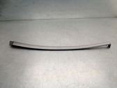 Other front door trim element