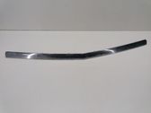 Engine hood trim