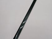 Front door trim (molding)