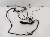 Rear door wiring loom