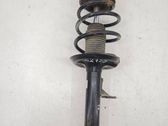 Front shock absorber with coil spring