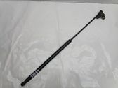 Tailgate/trunk strut/damper