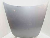 Engine bonnet/hood