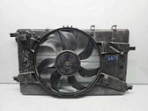 Elektrinis radiatorių ventiliatorius