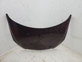 Motorhaube