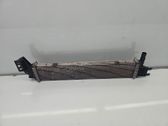 Radiador intercooler