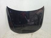 Motorhaube