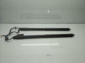 Tailgate/trunk strut/damper
