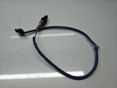Lambda probe sensor